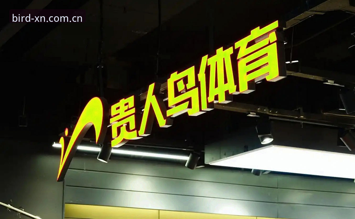 小鸟体育官网下载入口深度分析：从XN平台架构到用户体验的创新探索