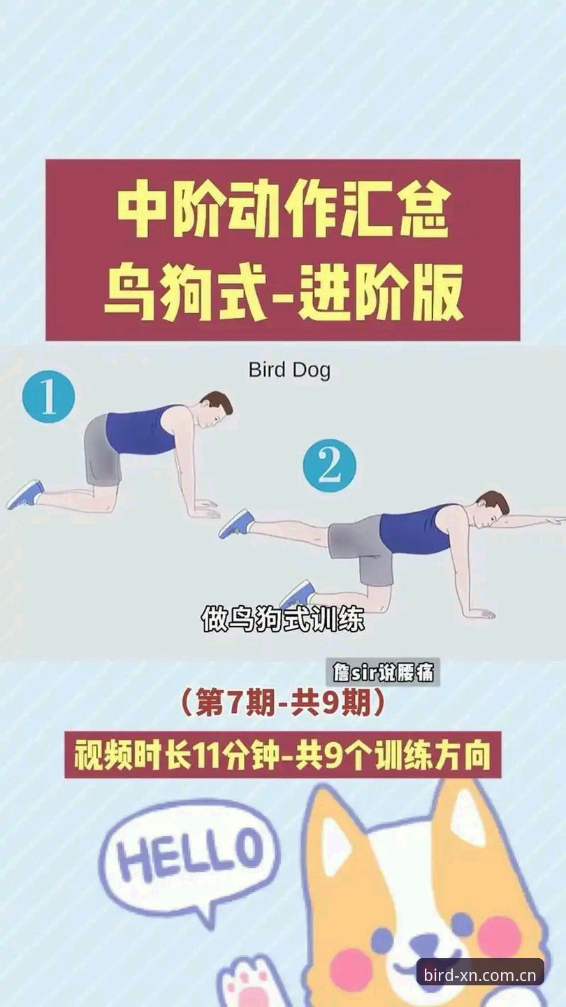 小鸟体育使用教程推荐 小鸟体育使用教程推荐的5大核心技巧与3种高效玩法