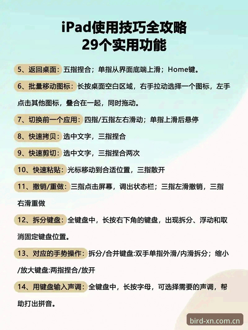 小鸟体育苹果版使用技巧详解：从菜鸟到高手的进阶之路